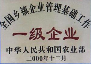 资质荣誉